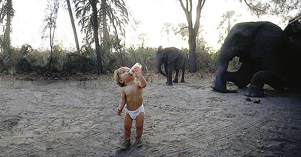 image mowgli real nina crecio africa entre animales tippi