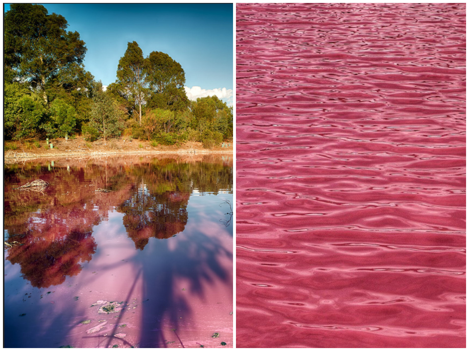 pinklake