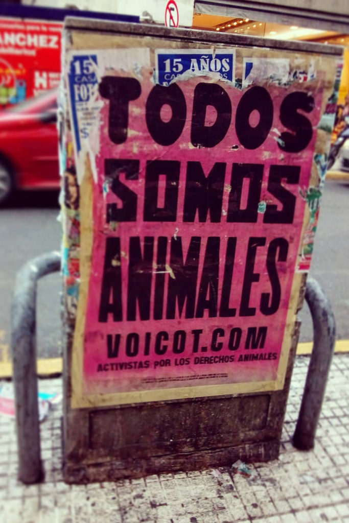 image Todos somos animales