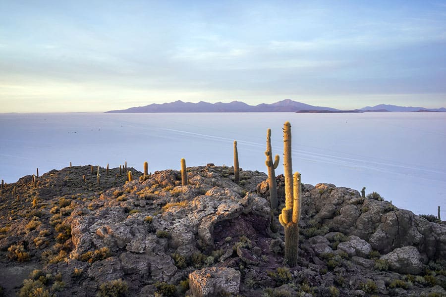 image Uyuni