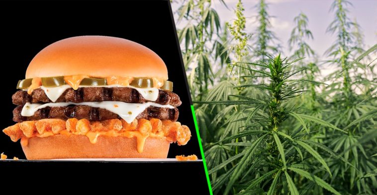 image hamburguesa cannabis