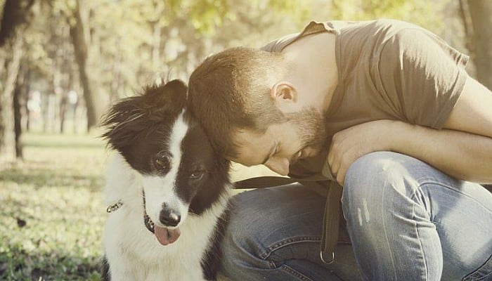 image porque los perros pueden amar a las personas