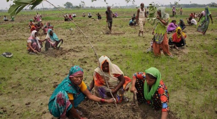 image 01 tree planting india.ngsversion.1468868401502.adapt .1190.1 1