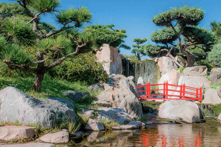 image Jardin japones