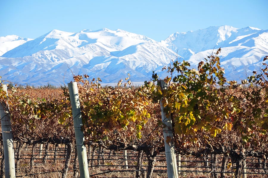 razones para visitar Mendoza