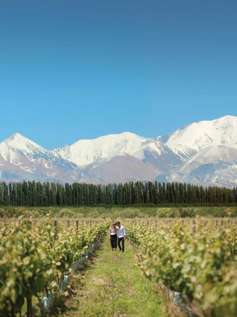 razones para visitar Mendoza