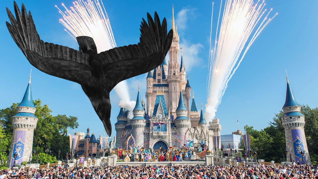 Woman sues Disney World over bird_1559147604289.jpg_21911480_ver1.0_1280_720