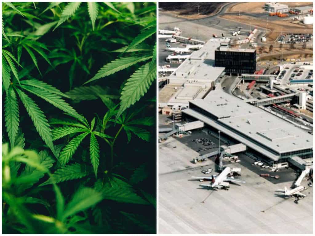 En este aeropuerto siempre hay olor a marihuana y esta es la razón image aeropuertomarihuana