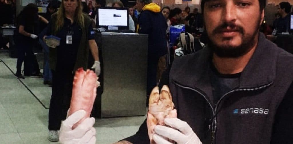 Turista chino intentó ingresar a la Argentina con patas de cerdo en su equipaje image foto 4