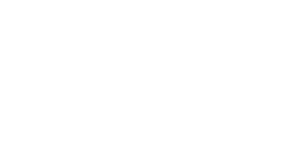 logo destinojet.travel