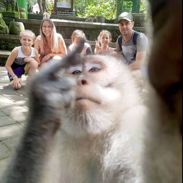 image Monkey middle finger