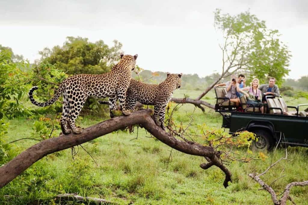 Los 20 mejores destinos en la naturaleza para conocer en 2023: Mauricio, África