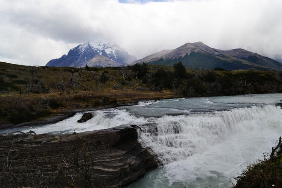 image Calafate 16