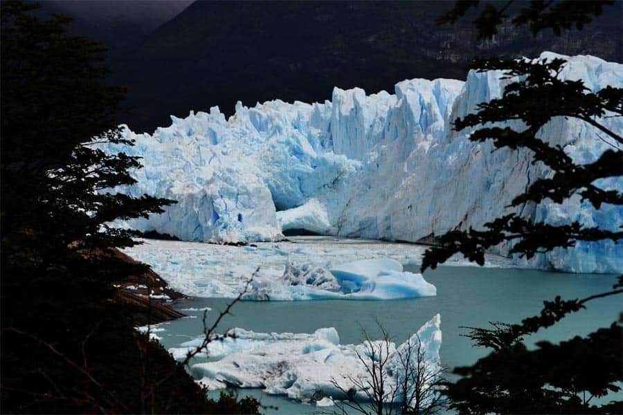 image Calafate 4