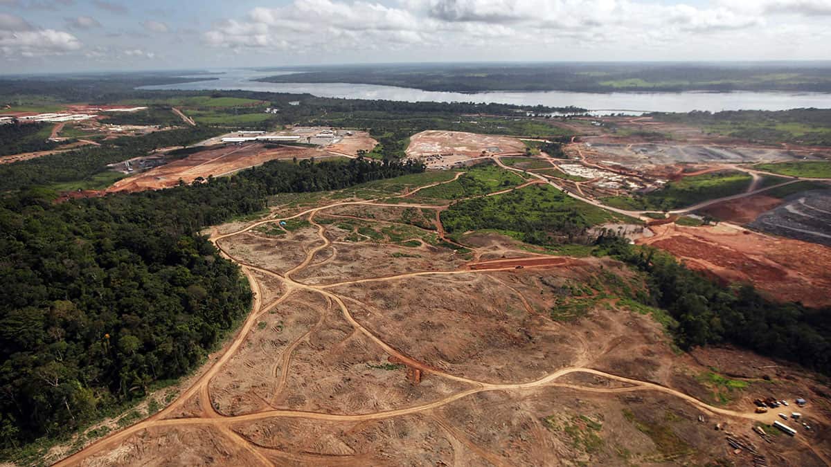 Portada Amazonas