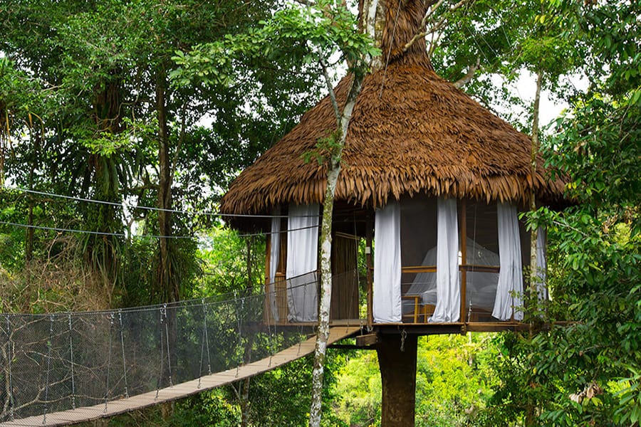 image Treehouse