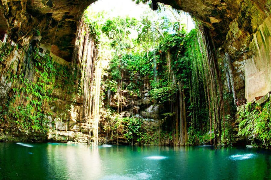 Cenote Ik Kill - Jardín del Edén 