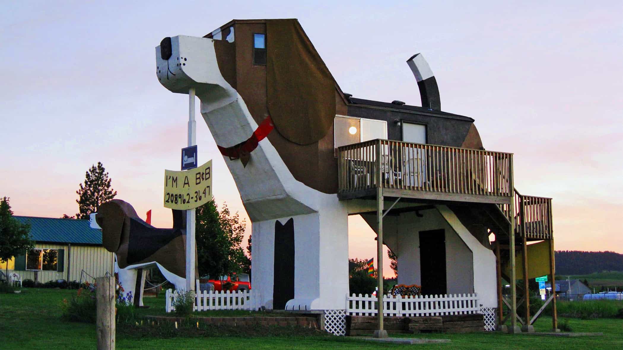 dog house