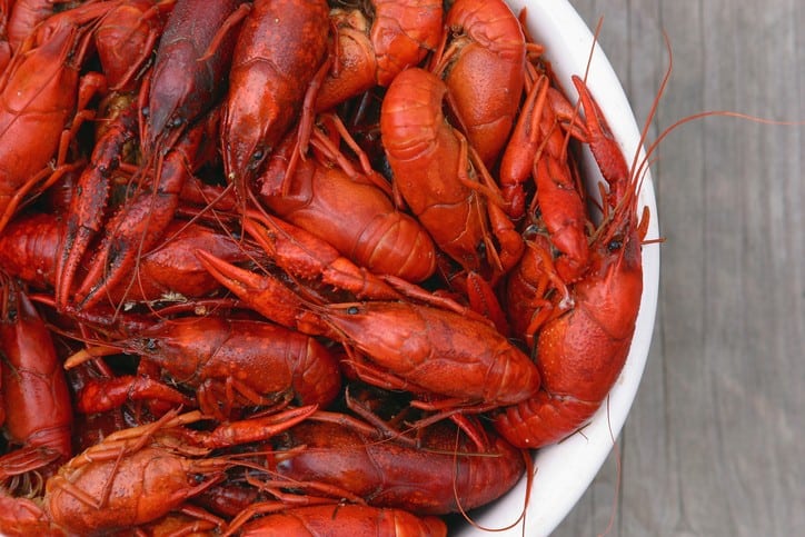 Bowl of fresh hot boiled Louisiana crawfish viewed from above.