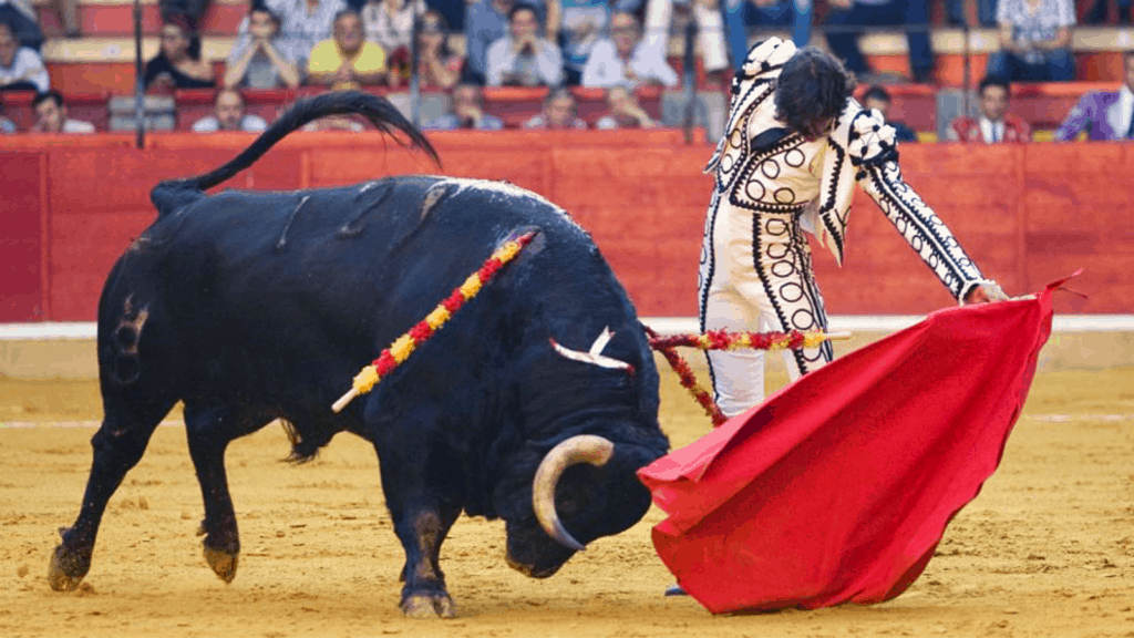 Vuelven las corridas de toros a Palma de Mallorca, luego de un año de prohibición mediante ley image Toros 1