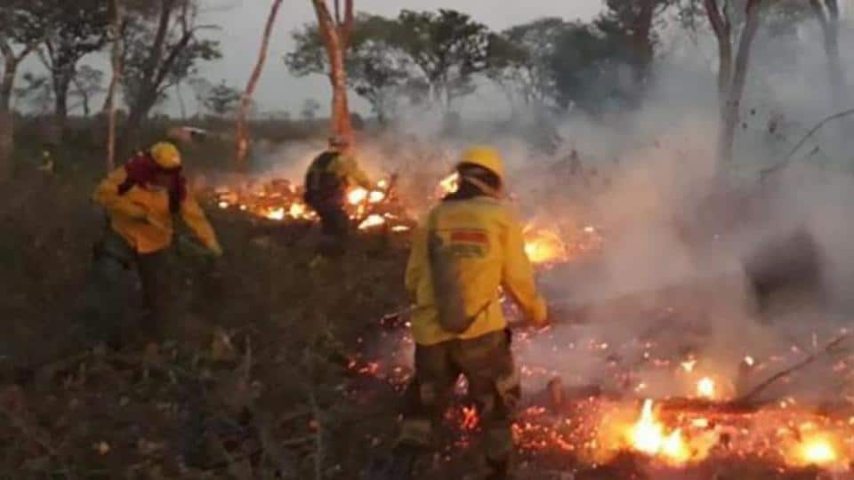 Página 12 / Los bomberos combaten el incendio forestal en la zona de Chiquitania