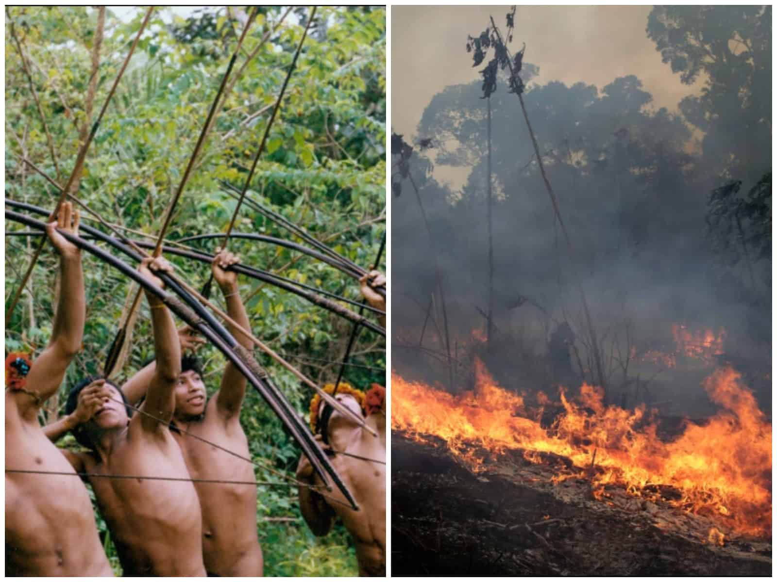 incendioamazonas