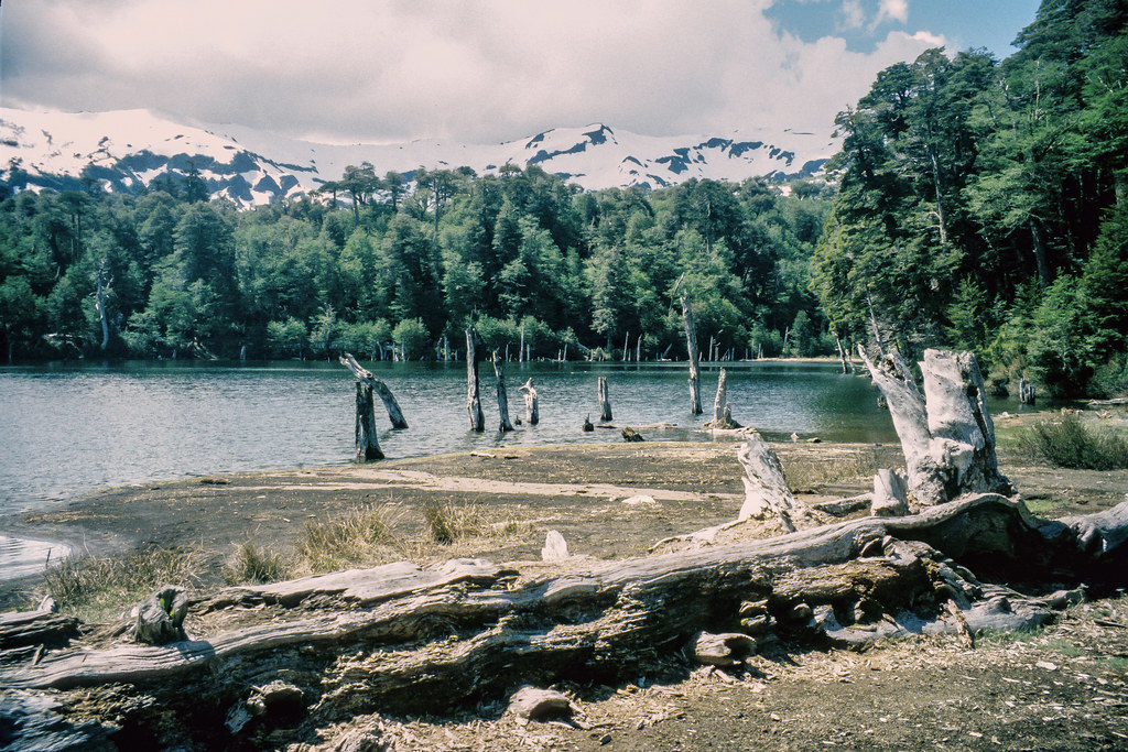 Alertan sobre posible riesgo de tsunami en la Patagonia Argentina image 3386432870 a338af243c b