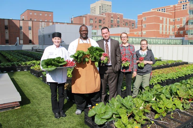 Rooftop-Farm-Slider