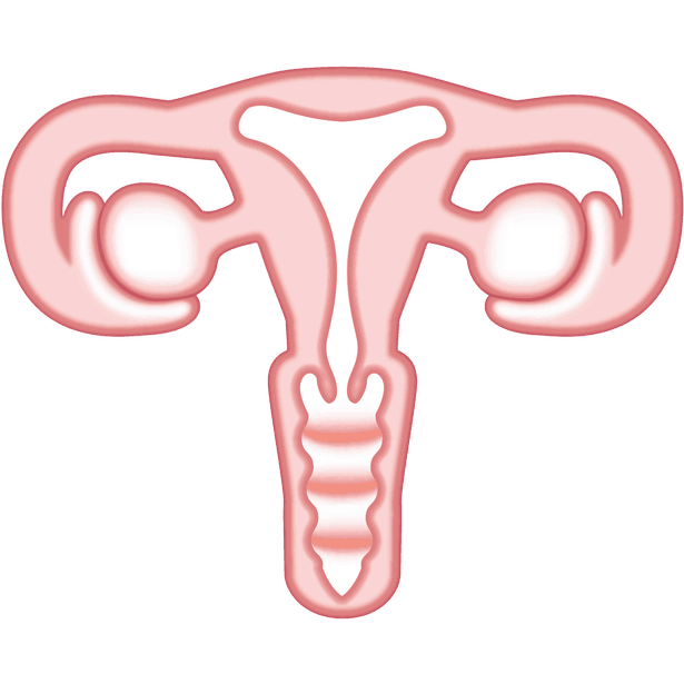 image uterus emoji