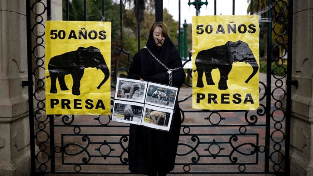 image Martita nota 35