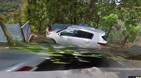 image Street View perro PRI 88312683