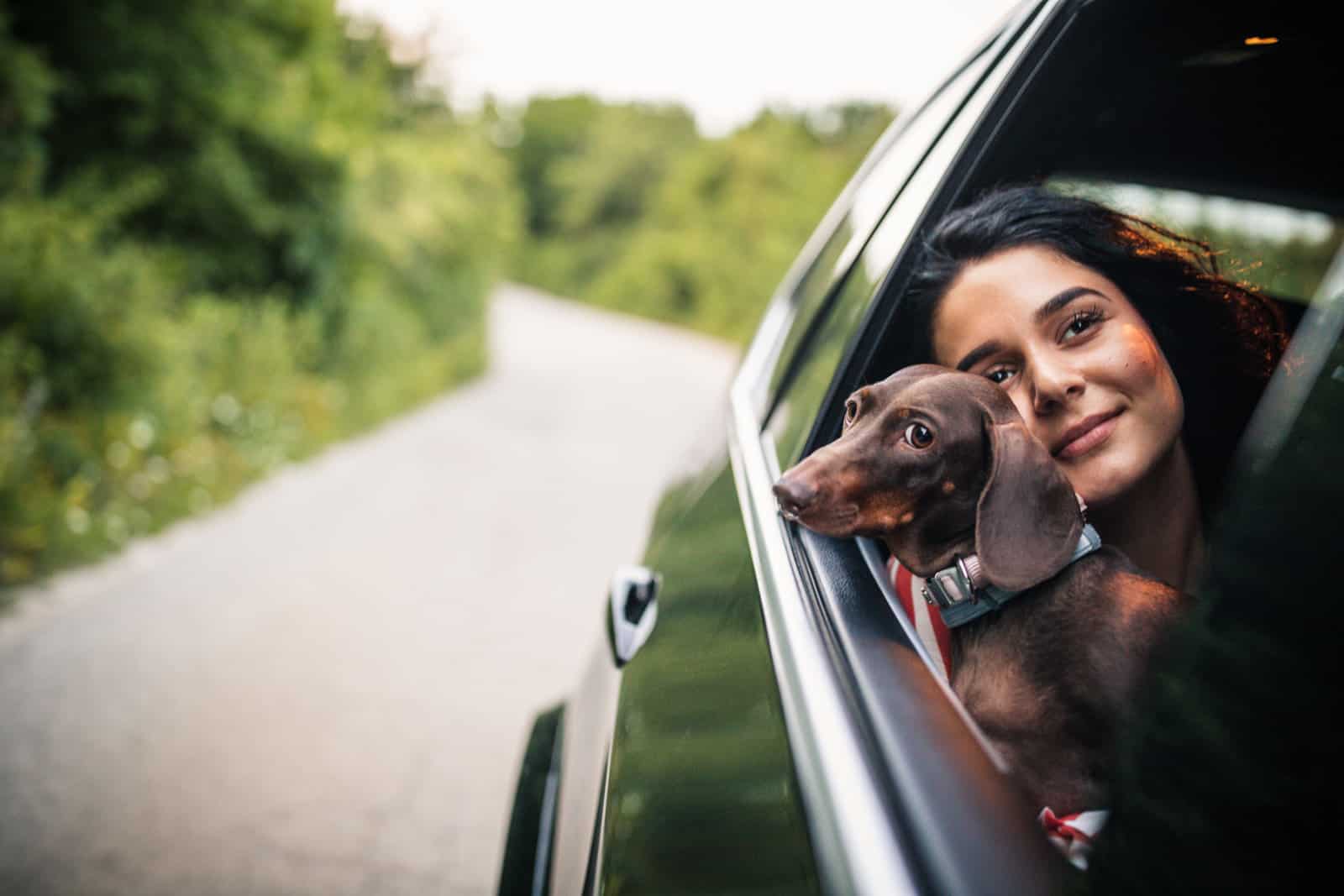 Beautiful young woman with curly hair and her dog driving in a car, looking through window.