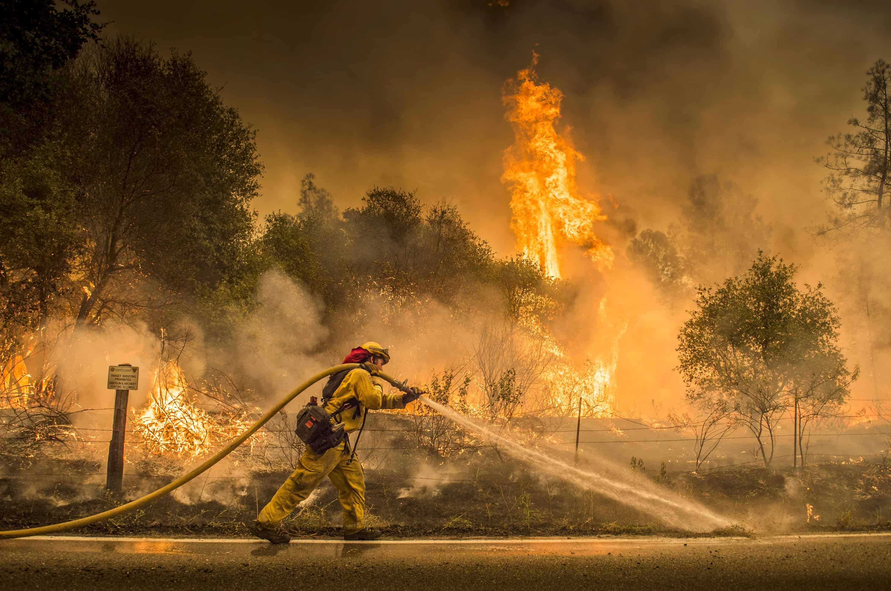 (Hector Amezcua/The Sacramento Bee via AP)