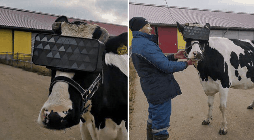 Captura de Pantalla 2019-11-27 a la(s) 08.50.27