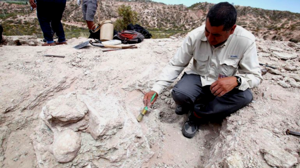 Argentina: Hallaron restos de un Titanosaurio que habría vivido hace más de 85 millones de años image Diseño sin título 2019 11 26T084033.424