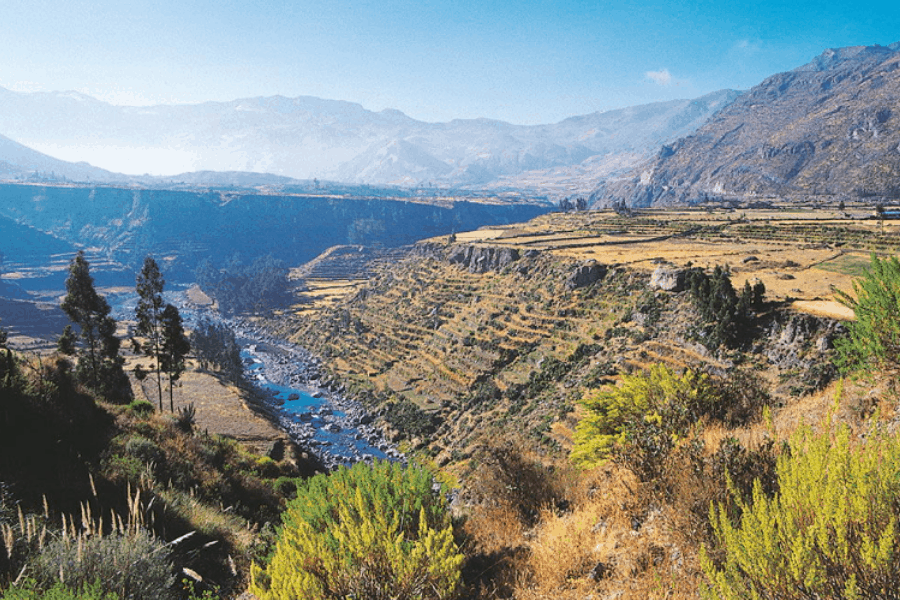 image Qué hacer en Cañón del Colca Diseño sin título 2019 11 28T155731.390