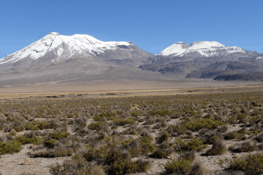 image Qué hacer en Cañón del Colca Diseño sin título 2019 11 28T160651.798