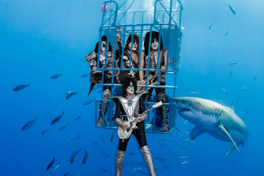 Cage diving with great white sharks at Guadalupe Island. This image was taken from one of the cages down at 10 metres while this male shark was inspecting the caged people.