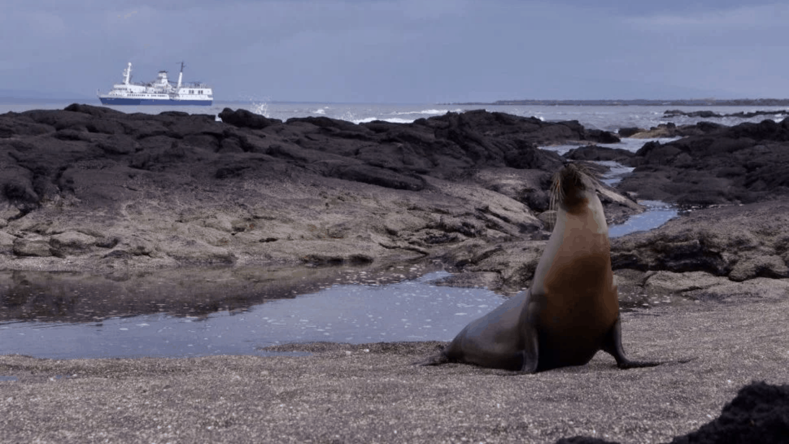 un simulador de un vuelo transóceanico de seis horas (11)