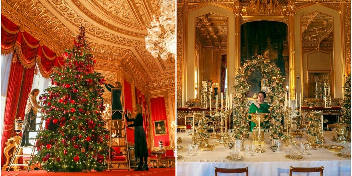 5de797f7e94e8665ed7e53c9