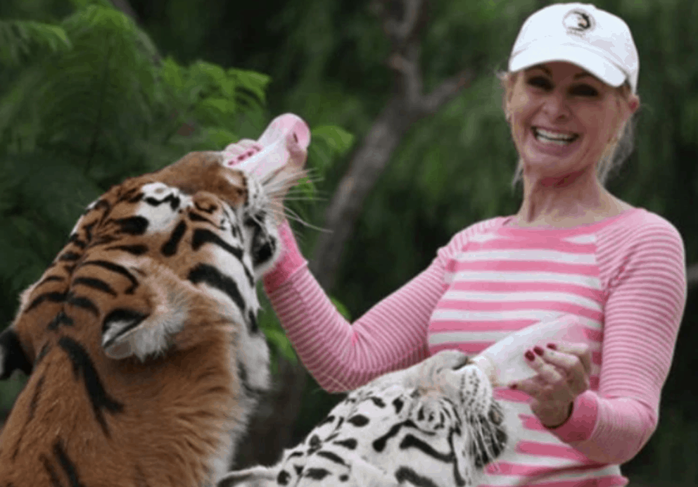 Captura de pantalla 2019-12-22 a la(s) 13.14.04