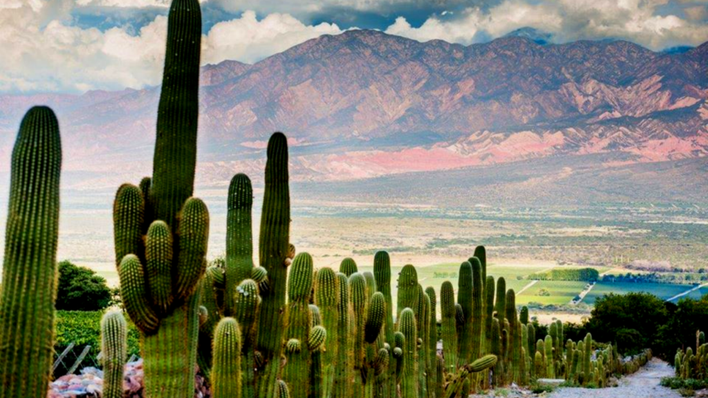 Argentina: Salta fue distinguida como el 'destino nacional mejor promocionado' image Diseño sin título 2019 12 02T103639.025