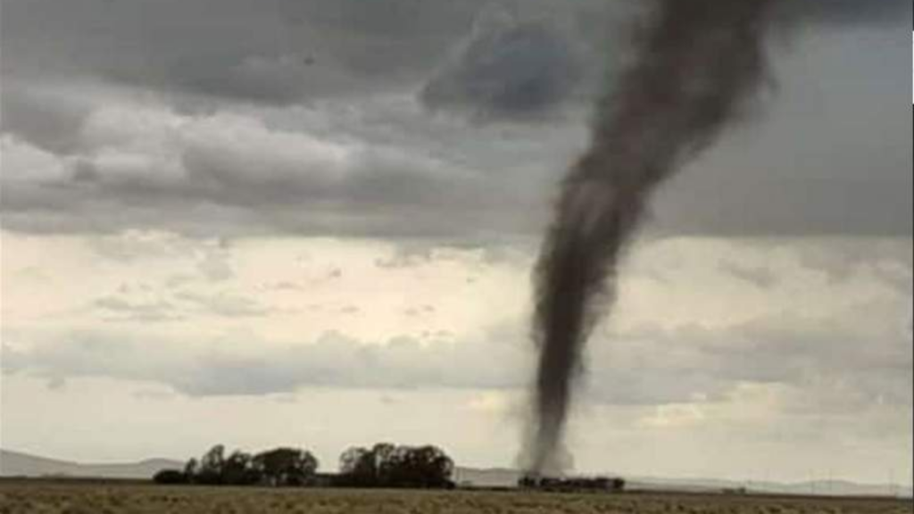 image Diseño sin título 2019 12 30T220125.368