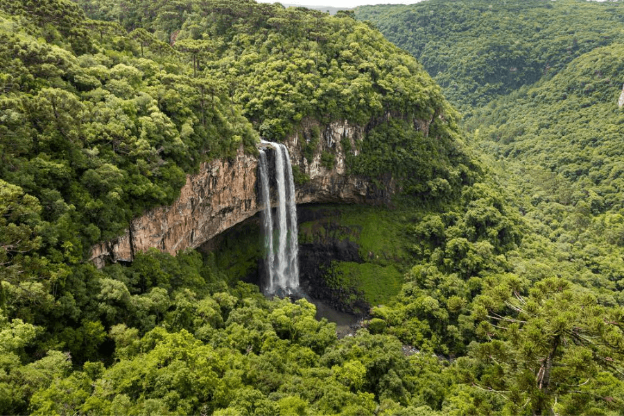 image Colombia