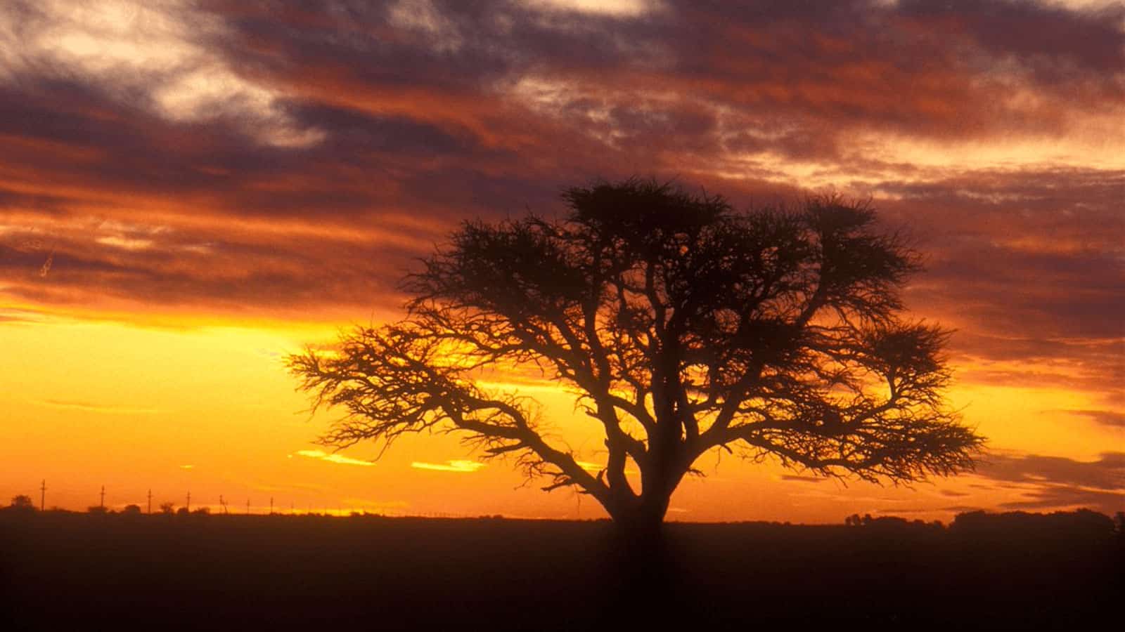 Argentina-trabaja-en-la-creación-de-un-nuevo-Parque-Nacional