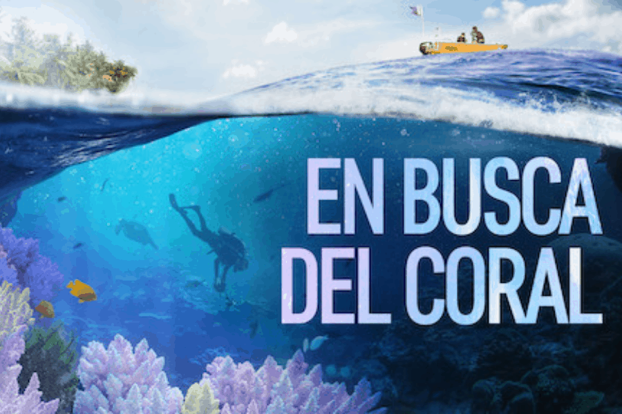 CuarenteNetflix: 14 días y 14 documentales para viajar por el mundo ...