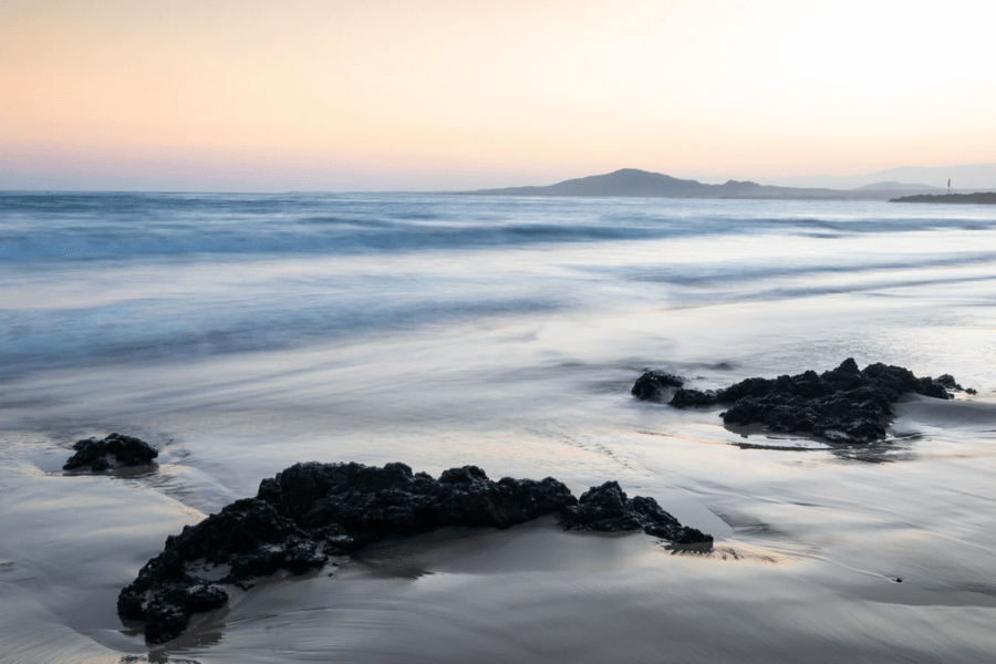 image Por temor a la presencia de coronavirus Islas Galápagos restringirá el ingreso de visitantes con síntomas de afección respiratoria 0