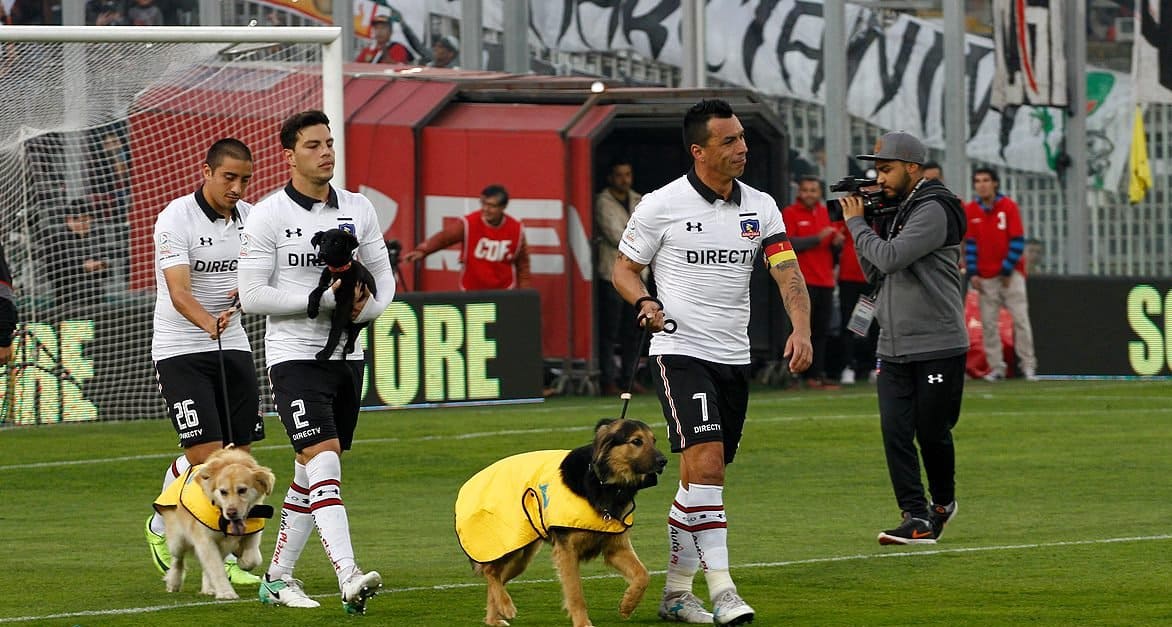 Un club de futbol chileno salió a la cancha junto a perritos para concientizar sobre la adopción de mascotas