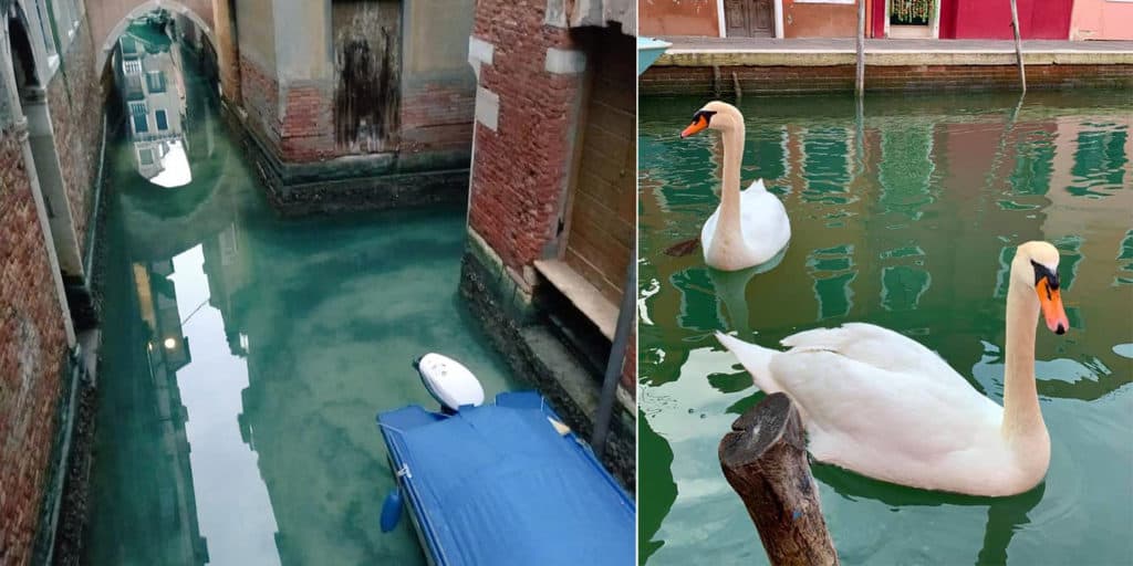 image agua clara de venecia por ausencia de turistas