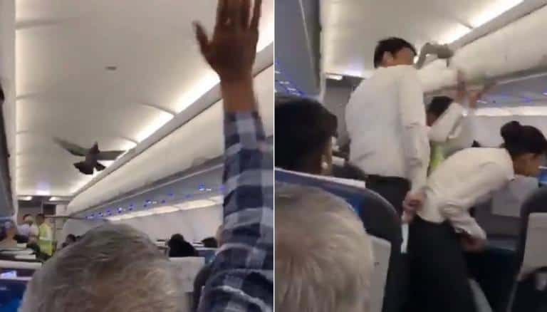 twitter-nirnay-kapoor-1120